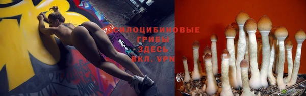 сатива Алзамай