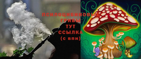 сатива Алзамай