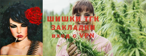 соль ск Алексин