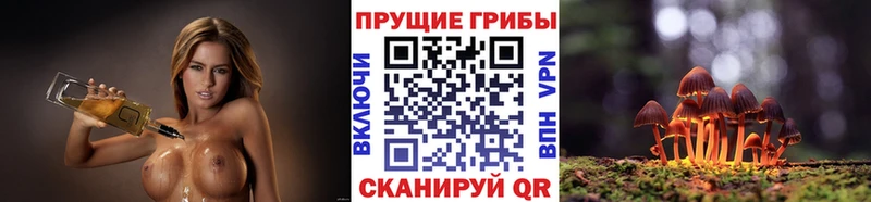 Псилоцибиновые грибы Cubensis  что такое наркотик  Отрадная 